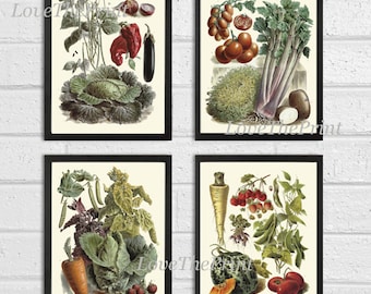 Vegetable Print Set of 4 Wall Art Beautiful Antique Garden Colorful Cabbage Tomato Potato Carrots Strawberries Kitchen Dining Room Decor
