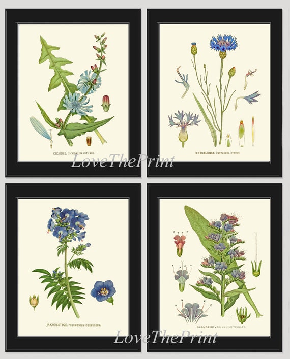Blue Flowers Botanical Print Wall Art Set of 4 Prints | Etsy