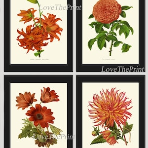 Flower Botanical Print Set of 4 Beautiful Antique Lily Rose Anemone Dahlia Garden Flowers Plants Colorful Nature Home Wall Decor to Frame IH
