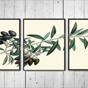Conjunto de arte de parede com impressão de folha de oliveira com 3 impressões Linda Itália Italiana Toscana Comida Natureza Cozinha Sala de jantar Decoração de casa Imagem para moldura