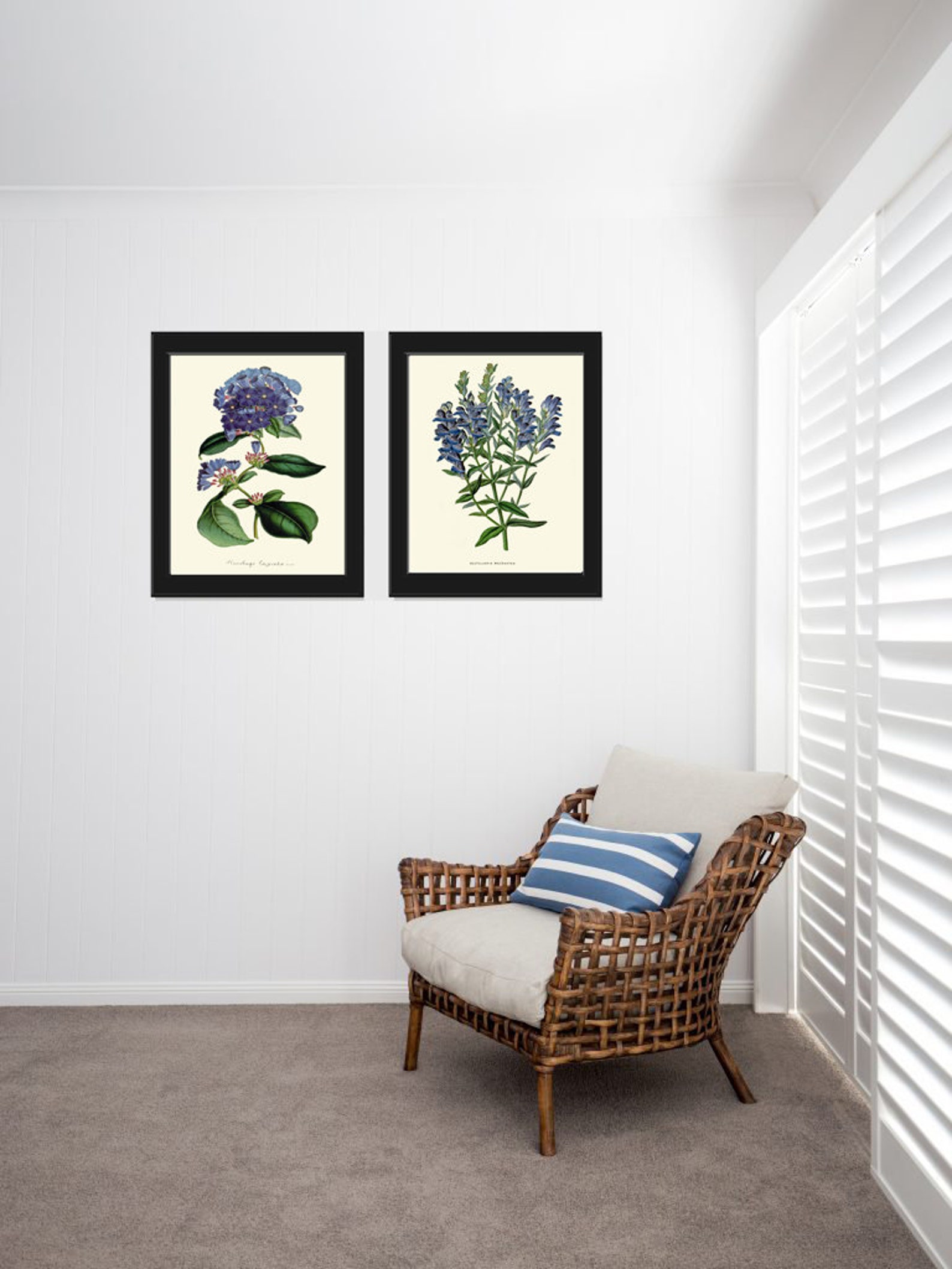 Blue Flower Botanical Wall Art Print Set of 2 Flowers Antique Petunia ...