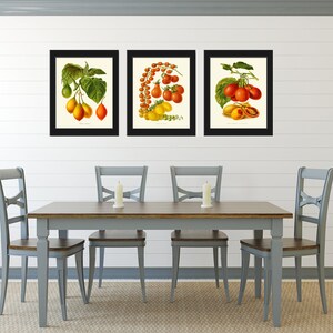 Tomato Print Set of 3 Beautiful Antique Vintage Red Yellow Green Colorful Vegetables Heirloom Garden Nature Illustration Home Wall Decor IH image 3
