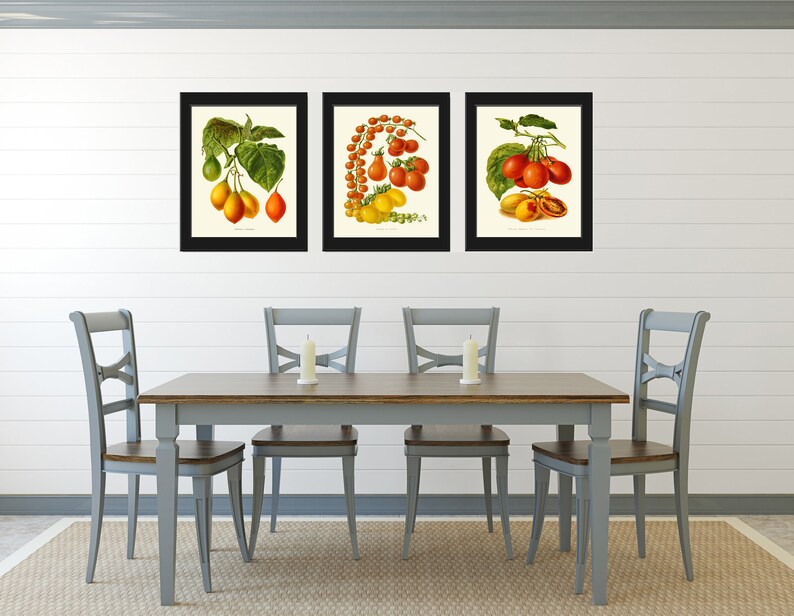 Tomato Print Set of 3 Beautiful Antique Vintage Red Yellow Green Colorful Vegetables Heirloom Garden Nature Illustration Home Wall Decor IH image 3
