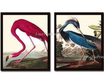 Audubon Pink Flamingo Blue Heron Birds Print Set of 2 Beautiful Antique Vintage Illustration Picture Drawing Home Room Wall Decor to Frame