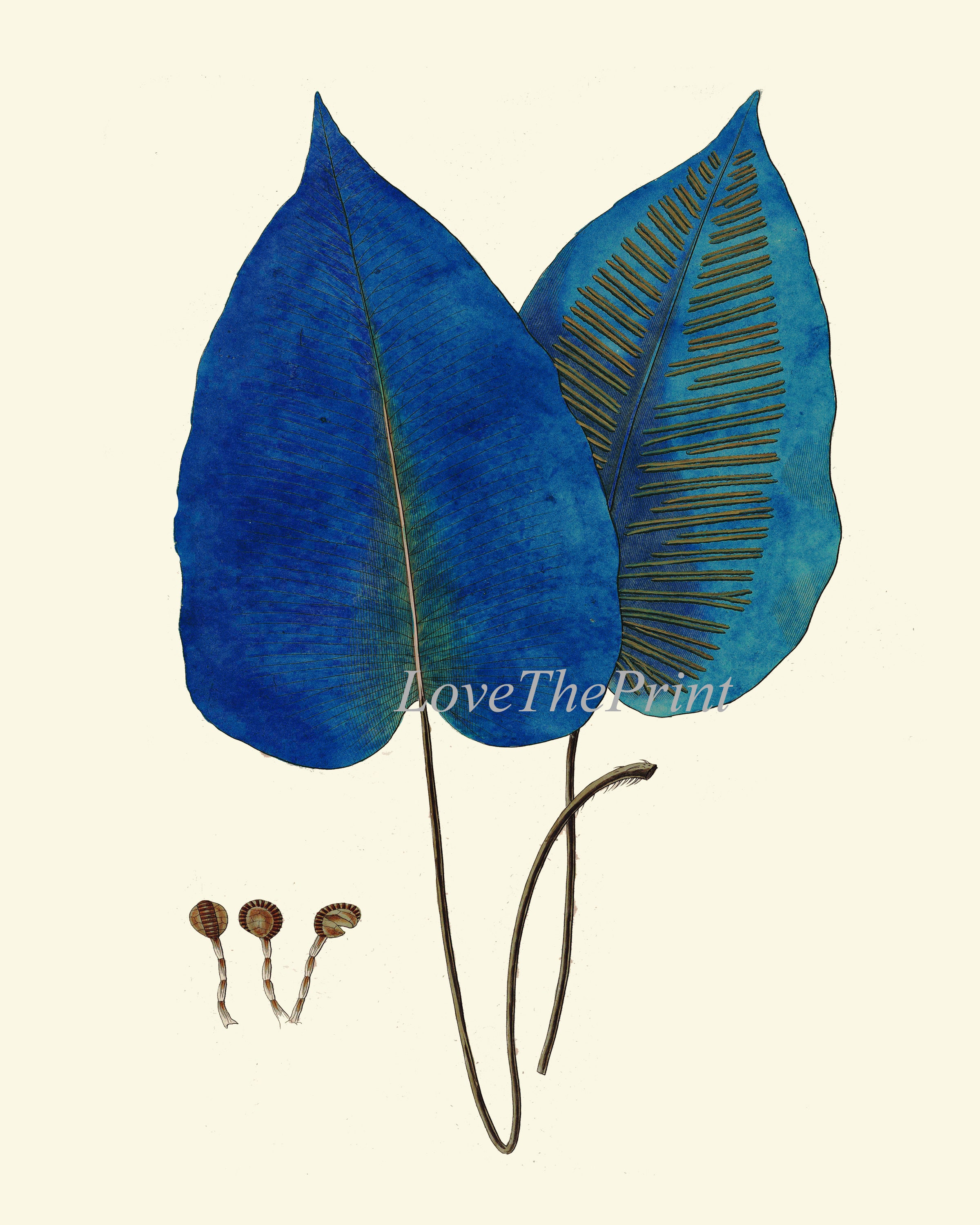 Blue Fern Botanical Wall Art PRINT SET of 6 Prints Beautiful Bedroom ...