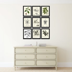 Coffee Kitchen Wall Art Print Set of 9 Beautiful Plant Beans Pot Coffee Production Science Nature Home Dining Room Office Wall Art to Frame