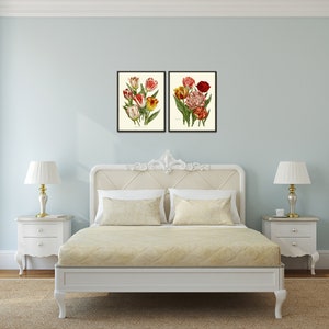 Tulip Prints Botanical Wall Art Set of 2 Flowers Beautiful Red White ...