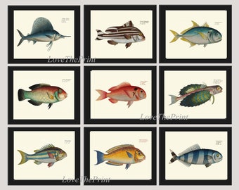 Fish Wall Art Print Set of 9 Antique Beautiful Nature Lake Beach House Cottage Log Cabin Fishing Home Decor Decoration Poster to Frame Bl
