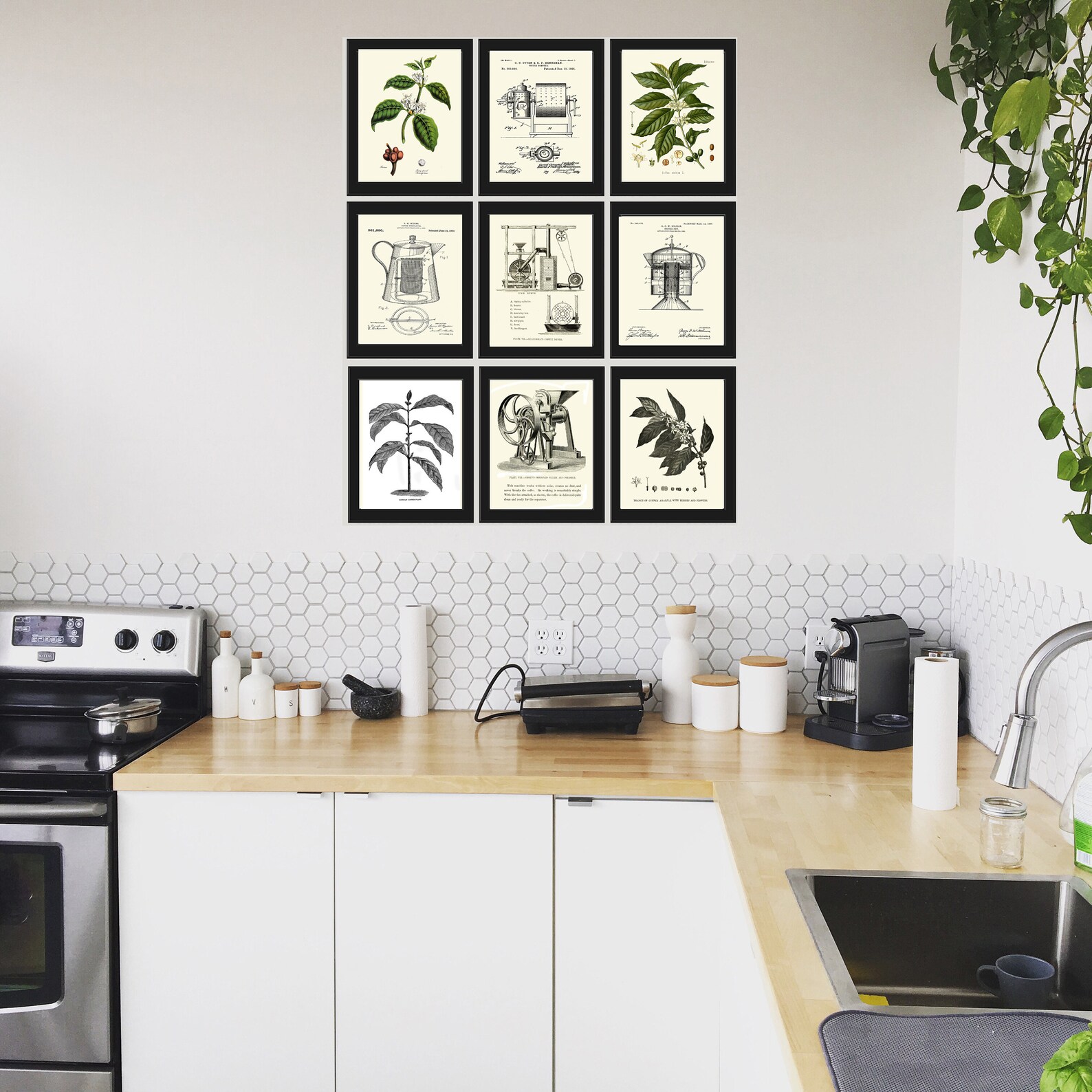 Coffee Kitchen Wall Art Print Set of 9 Beautiful Plant Beans Etsy