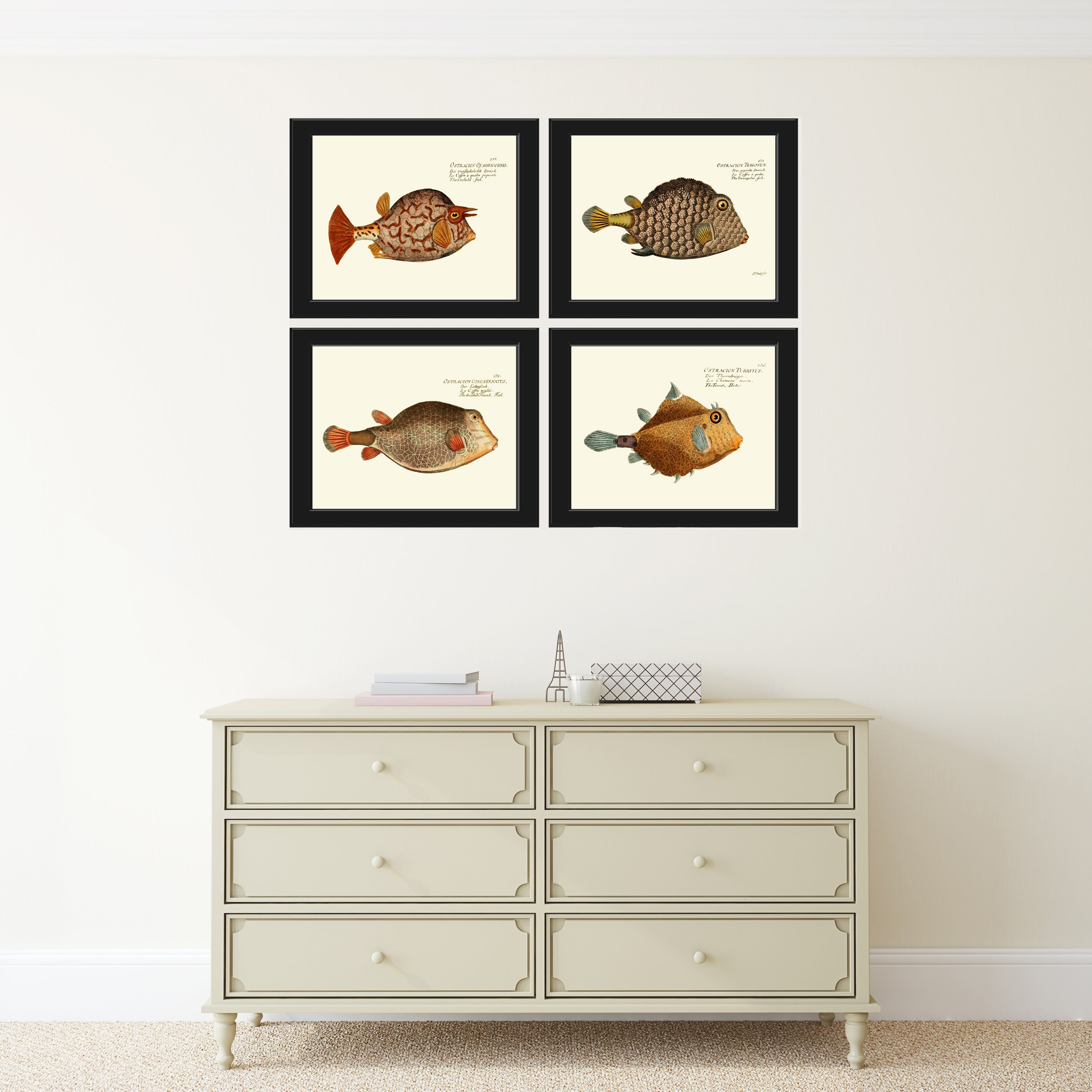 Bathroom Wall Art Fish Print Set of 4 Prints Beautiful - Etsy