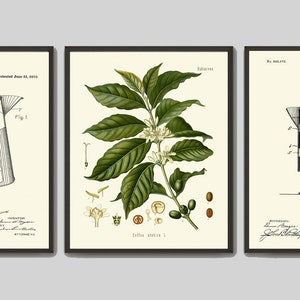 Coffee Kitchen Office Print Wall Art Set of 3 Prints Beautiful Illustration Drawing Patent Picture Dining Room Home Decor to Frame