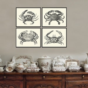 Crab Print Set of 4 Beautiful Antique Vintage Crabs Sea Ocean Beach Cottage Nature Home Bedroom Living Room Hallway Room Wall Decor to Frame image 2