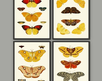 Butterfly Print Set of 4 Prints Beautiful Antique Colorful Yellow Red Butterflies Spring Summer Garden Nature Home Wall Decor Unframed CR