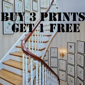 May include: A staircase with framed botanical prints on the wall. The staircase has wooden steps and a white banister with a dark brown handrail. The text "BUY 3 PRINTS GET 1 FREE" is overlaid on the image.