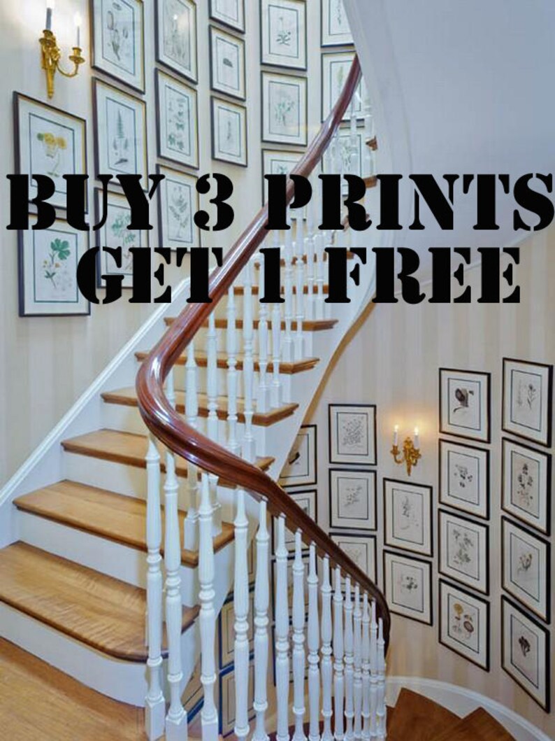 May include: A staircase with framed botanical prints on the wall. The staircase has wooden steps and a white banister with a dark brown handrail. The text "BUY 3 PRINTS GET 1 FREE" is overlaid on the image.