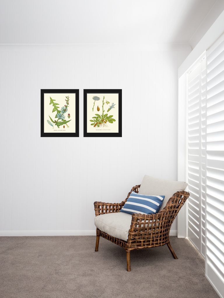 Blue Flower Botanical Wall Art Print Set of 2 Prints Beautiful Antique ...
