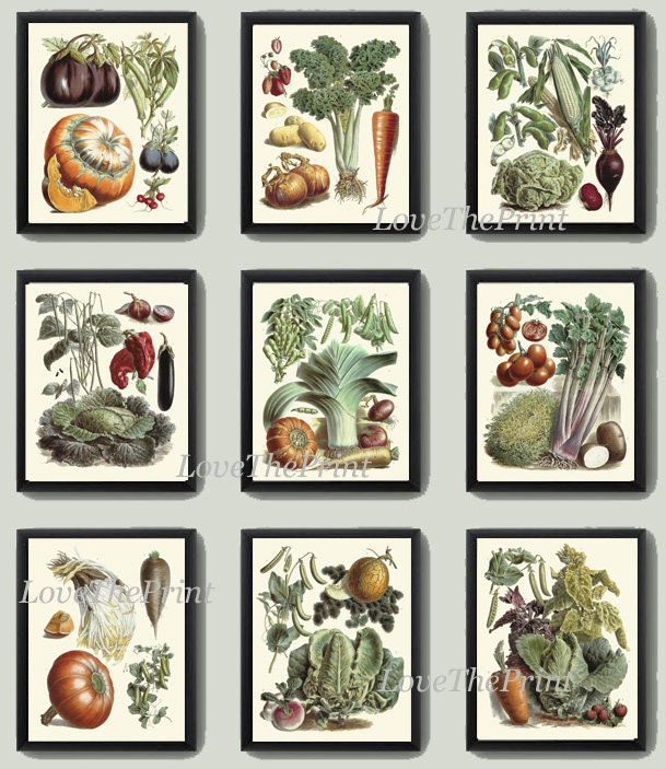 rustic vegetable kitchen prints | 3-piece wall art |... Vegetable Print Set of 9 Wall Art Beautiful Antique French Garden ...