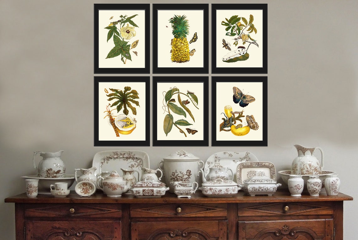 Botanical PRINT SET of 6 Fruits Wall Art Beautiful White Hibiscus ...