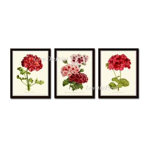 Blue Flower Botanical Wall Art Print Set of 2 Flowers Antique Etsy