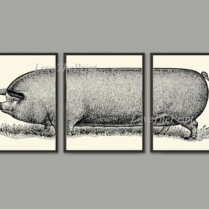 Farmhouse Pig Print Wall Art Set of 3 Beautiful Vintage Illustration Farm Animal Barn Cottage Kitchen Dining Room Home Decor to Frame