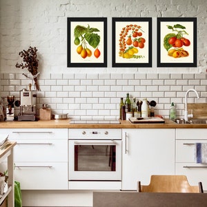Tomato Print Set of 3 Beautiful Antique Vintage Red Yellow Green Colorful Vegetables Heirloom Garden Nature Illustration Home Wall Decor IH image 5