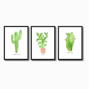 RESERVED: Set of Three Cacti Wall Prints in size 8.5 x 5.5 image 1