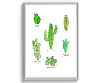 Watercolor Cactus Succulent Print With Six Different Cactus Plants - 11.5x8.5" - Green