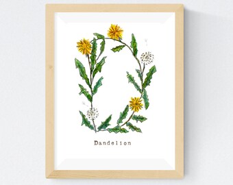 Dandelion Letter D Print: Watercolor Herb Alphabet Art