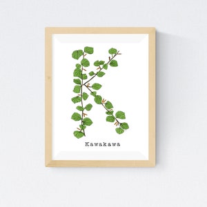 Herb Watercolor Flower Alphabet Wall Print  - Letter &quot;K&quot; for KawaKawa Plant Alphabet Letter - Choose from Other Sizes