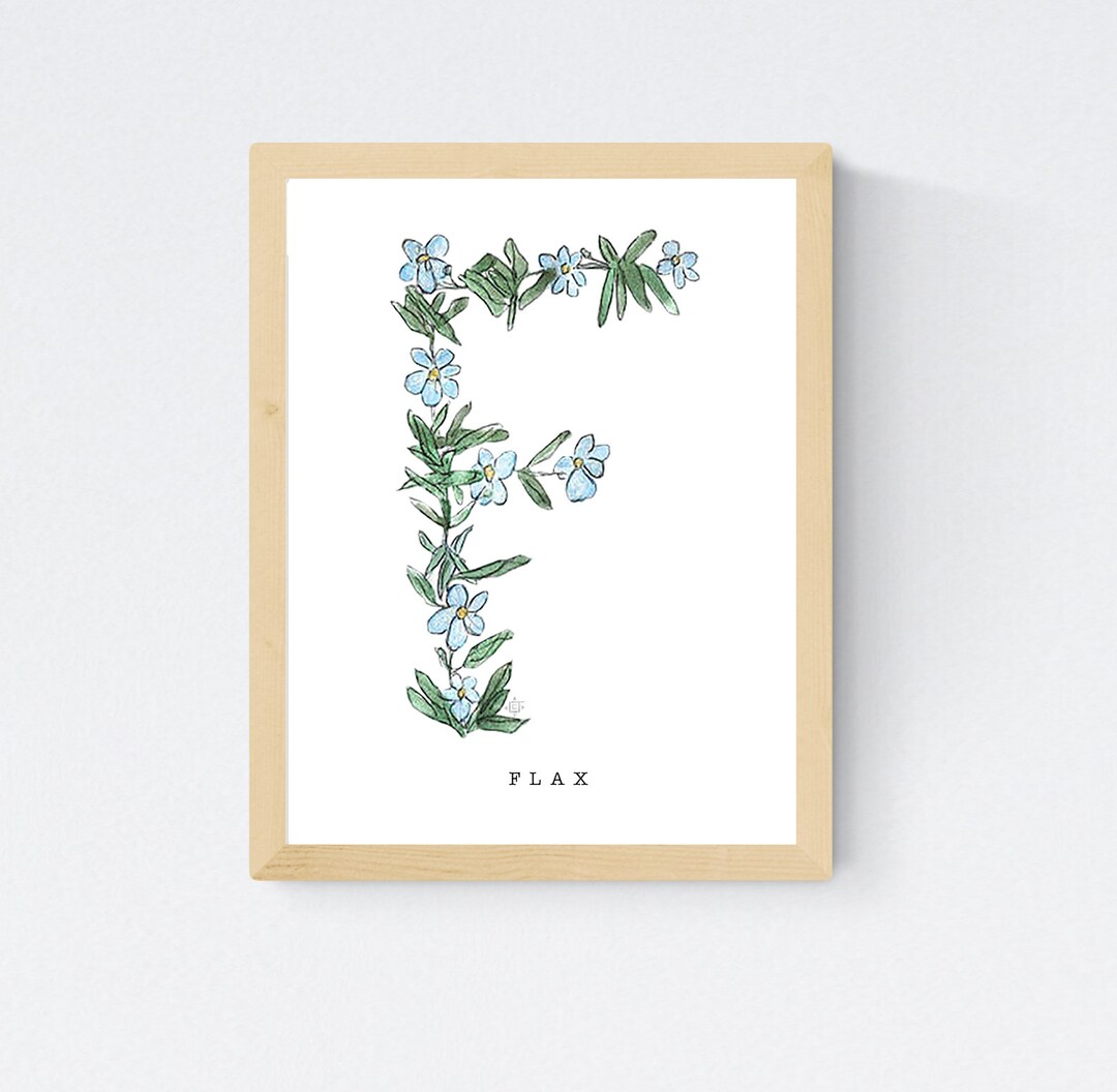 Watercolor Herb Alphabet Wall Print - Letter F for Flax Plant Alphabet ...