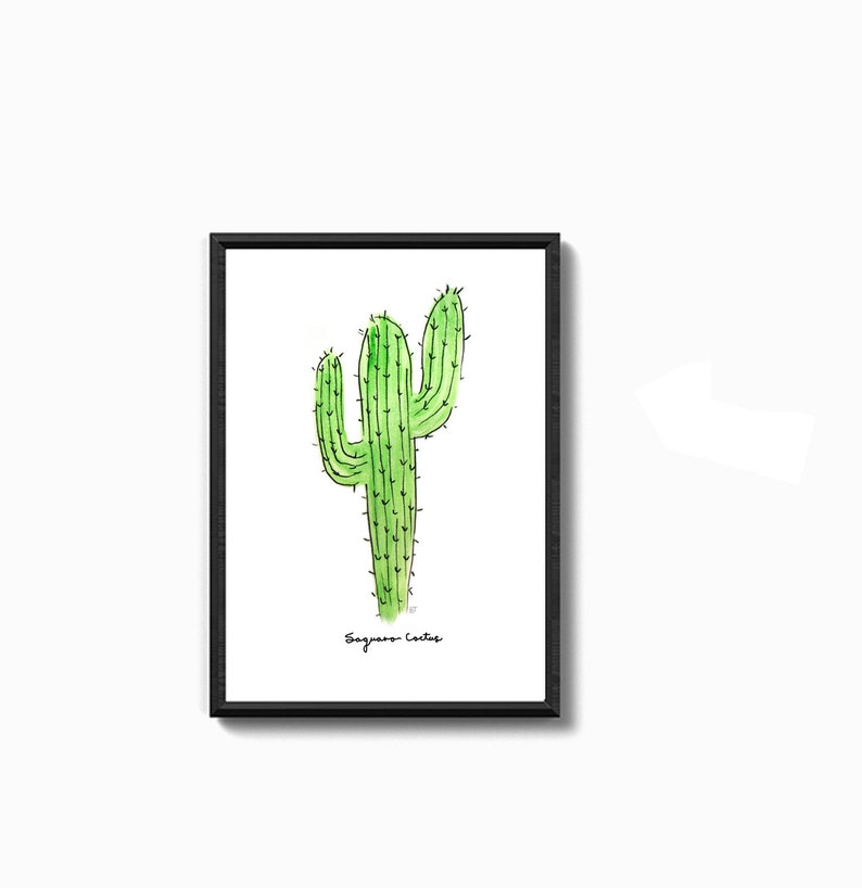 RESERVED: Set of Three Cacti Wall Prints in size 8.5 x 5.5 image 3