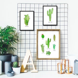 RESERVED: Set of Three Cacti Wall Prints in size 8.5 x 5.5 image 6