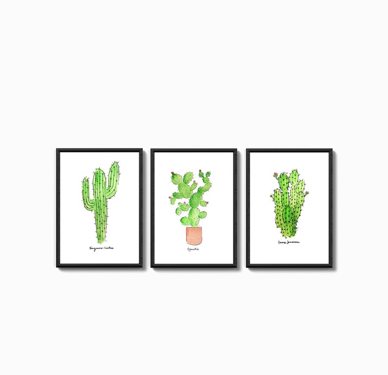 RESERVED: Set of Three Cacti Wall Prints in size 8.5 x 5.5 image 1