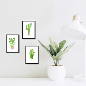 RESERVED: Set of Three Cacti Wall Prints in size 8.5 x 5.5 image 2