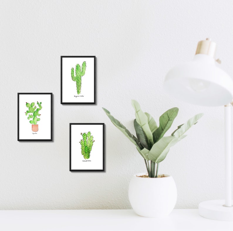 RESERVED: Set of Three Cacti Wall Prints in size 8.5 x 5.5 image 2