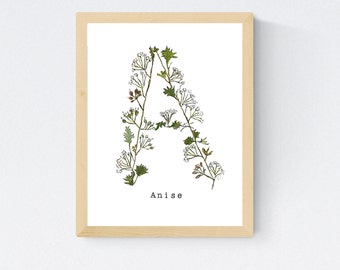 Anise Letter A Print: 5x7 Watercolor Herb Alphabet Art