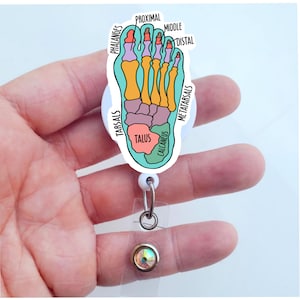 May include: A white retractable badge holder featuring a colourful anatomical illustration of a foot. The illustration depicts the bones of the foot, including the phalanges, metatarsals, tarsals, talus, and calcaneus. The text on the illustration includes "Proximal", "Middle", "Distal", "Phalanges", "Metatarsals", "Tarsals", "Talus", and "Calcaneus".