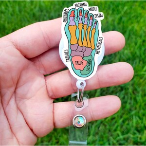 May include: A teal blue and white badge reel with a cartoon illustration of a foot with the bones labelled. The labels include "Phalanges", "Tarsals", "Talus", "Calcaneus", "Metatarsals", "Proximal", "Middle", and "Distal".