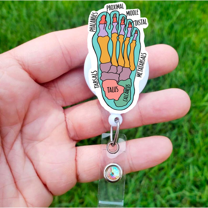 May include: A teal blue and white badge reel with a cartoon illustration of a foot with the bones labelled. The labels include "Phalanges", "Tarsals", "Talus", "Calcaneus", "Metatarsals", "Proximal", "Middle", and "Distal".