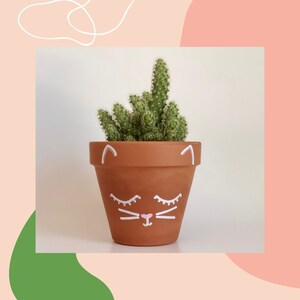 May include: A terracotta pot with a painted cat face, featuring white eyes, whiskers, and a pink nose. The pot is filled with a green cactus plant.