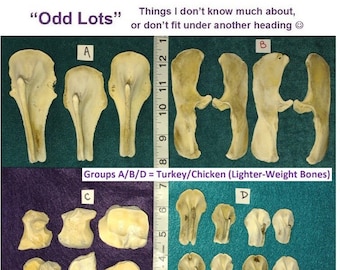 Odd Lots for Scrying / Voodoo / Divination / Crafting / Costumes. Scroll Thru Photos to Choose Your EXACT Group