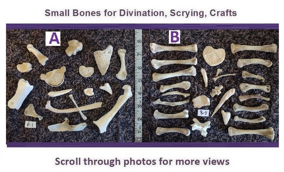 Animal bones mix of poultry wishbone for jewelry making rib bird bones bulk  for crafting small bone lot _SET of 9 pcs Beads Jewelry Making & Beading  