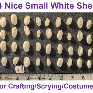 May include: 44 small white seashells arranged in rows on a dark surface. The shells are oval shaped and have a smooth, glossy finish. A ruler is visible at the bottom of the image, with the text "For Crafting/Scrying/Costumes".