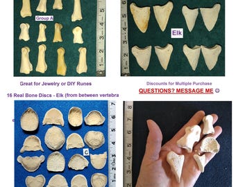 Small Bone Groups: Wild Animal Bones Toe/Hoof/Disc. Professionally CLEANED for Crafting/Jewelry/Sculpture/Costume Design. Found Real Bones