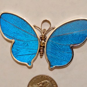 HUGE butterfly wing pendant, real butterflies, butterfly pendants, butterfly earrings, real butterfly gifts, jewelry with butterfly wings