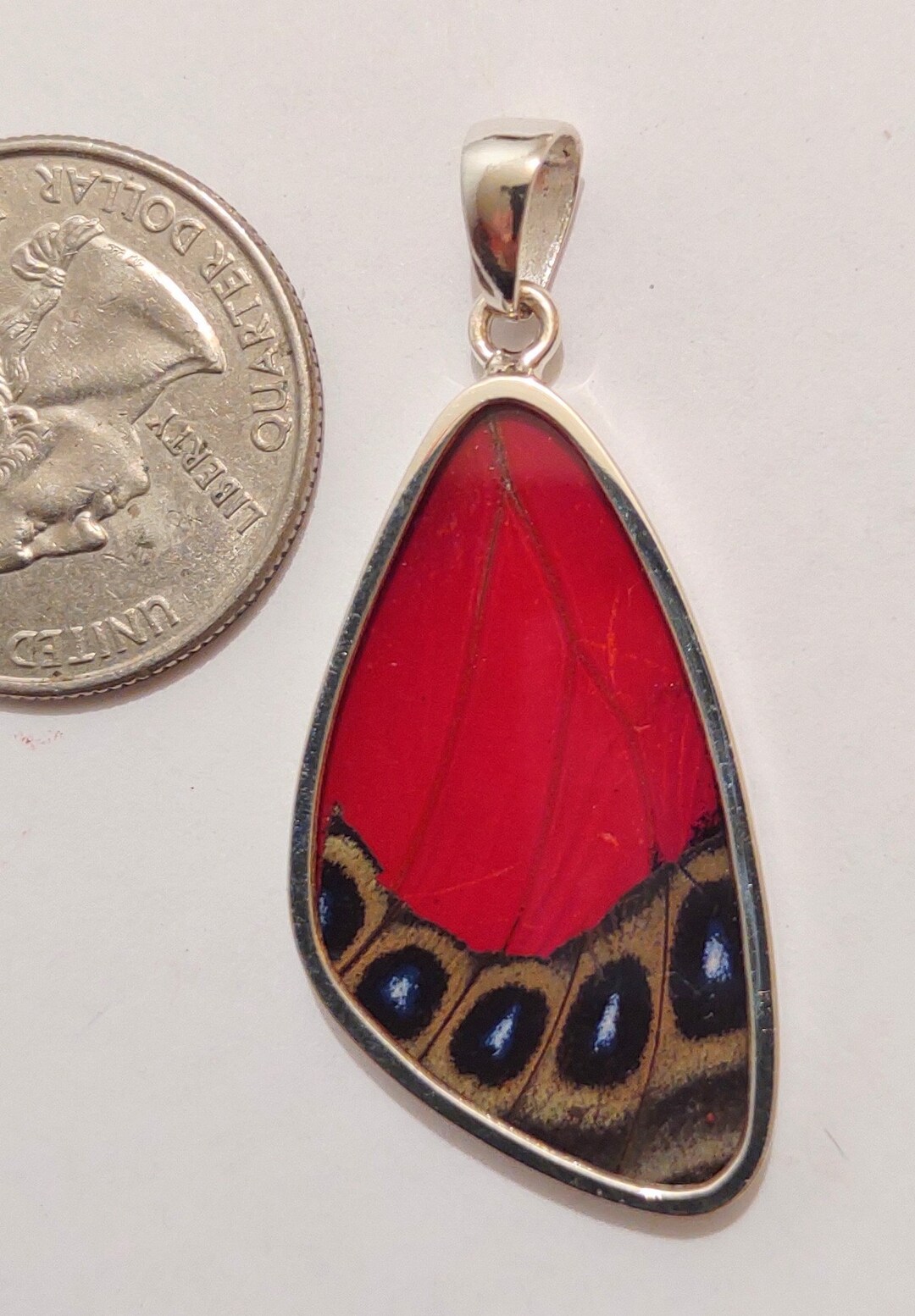 Butterfly Wing Jewelry, Real Butterflies, Butterfly Pendants, Butterfly