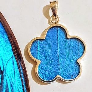 NEW FLOWER shaped!  real butterflies, butterfly pendants, butterfly earrings, real butterfly gifts, jewelry with butterfly wings