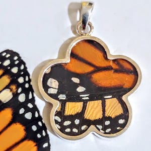 NEW FLOWER shaped!  real butterflies, butterfly pendants, butterfly earrings, real butterfly gifts, jewelry with butterfly wings