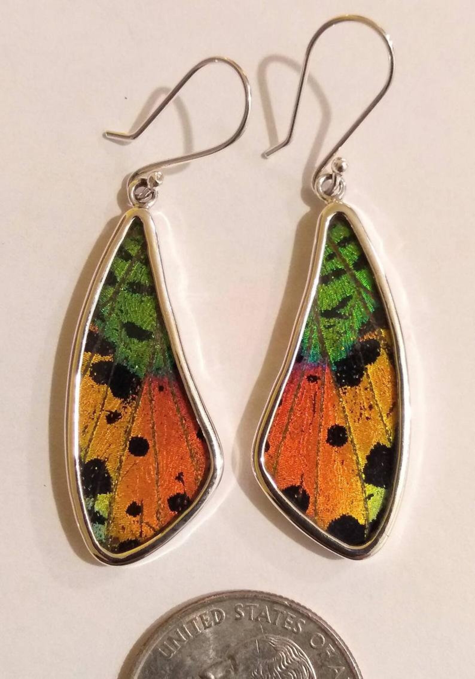 Joyería de ala de mariposa mariposas reales colgante de ala Etsy