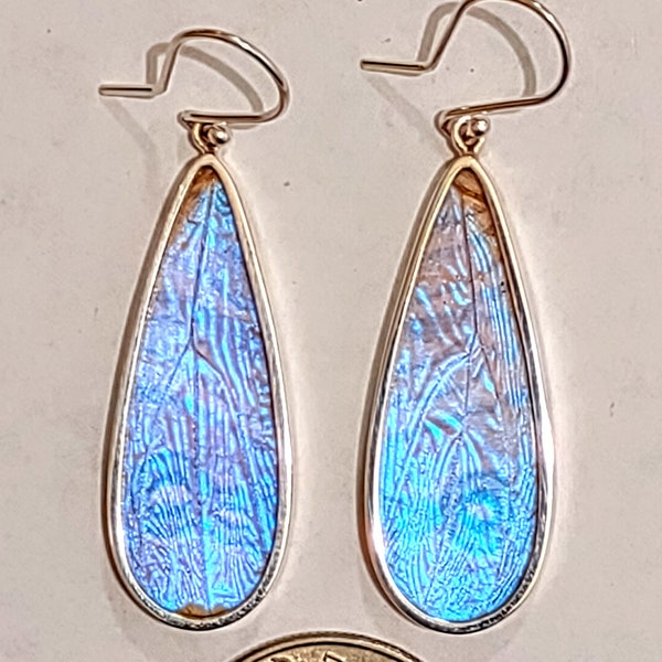 butterfly wing jewelry, real butterflies, butterfly pendants, butterfly earrings, real butterfly gifts, jewelry with butterfly wings